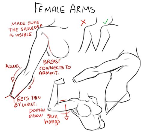 Pin By Gg On Sketch Design Female Anatomy Reference Drawing Tips Female Anatomy