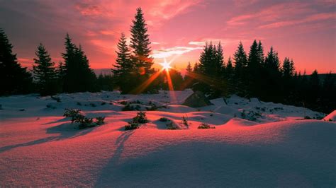 Winter Sunbeams On Vitosha Mountain Bulgaria Wallpaper Backiee