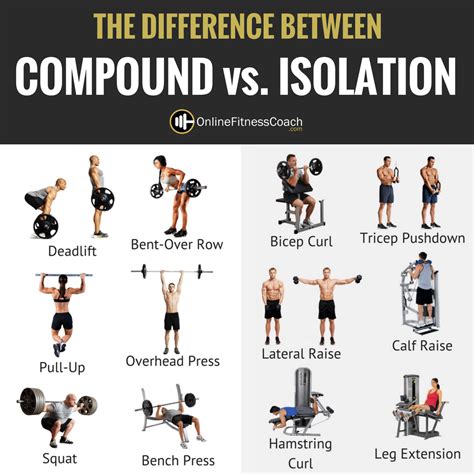 Compound Exercises Vs Isolation Exercises Which Is Better Online