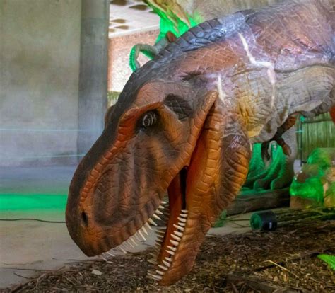 Dinosaur World Johannesburg Dinosaur Expo In Sandton Jozikids