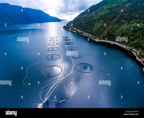 Farm Salmon Fishing In Norway Aerial Photography Stock Photo Alamy