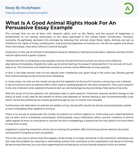 What Is A Good Animal Rights Hook For An Persuasive Essay Example
