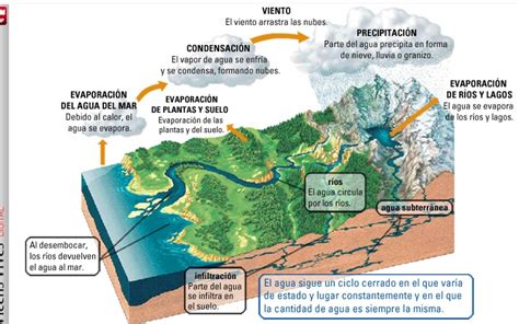 Garófano Ciencias Sociales 1º Tema 3 La Hidrosfera Agua Dulce Y Salada