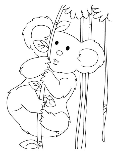 These coloring pages are both educative and fun as they allow your children to learn plenty. Free Printable Koala Coloring Pages For Kids