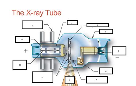 Rte 1401 Chapter 5 The X Ray Tube Diagram Quizlet