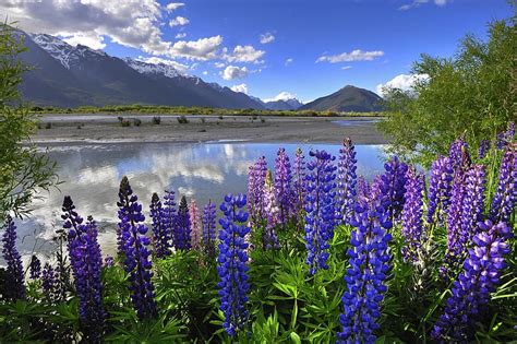 Landscape Nature Mountain Lake Reflection New Zealand Cloud