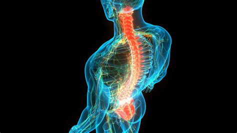 Long Term Consequences Of Spinal Cord Injuries