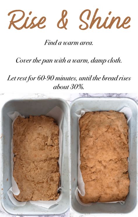 These are brand new at my store and i'm so excited to see them! Craving-Crushing Soft Vegan Keto Bread (gluten-free, soy ...