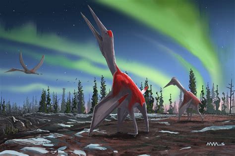 New Species Of Giant Flying Reptile Unearthed By Usc Scientist In Canada