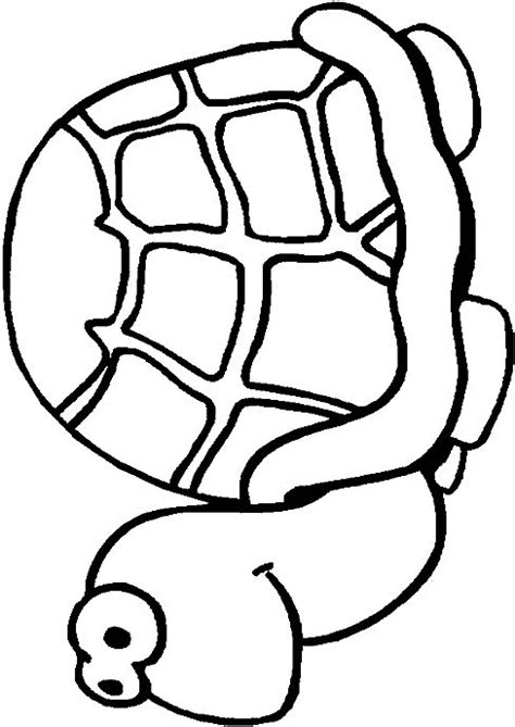 Tortoise Coloring Pages - Coloringpages1001.com