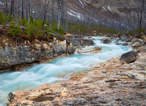 Marble Canyon In Kootenay National Park British Columbia Stock Image
