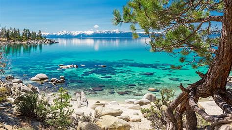 Clear Water Of Lake Tahoe Beach Stones Tree California Mountains