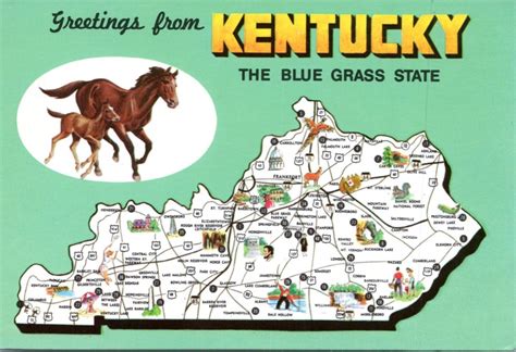 Postcard Map Kentucky Greetings From Bluegrass State Map And Horses