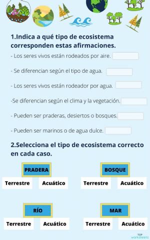 Ecosistemas Fichas Interactivas Y Ejercicios Online Topworksheets