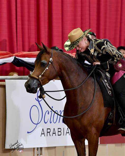 Nine Days Of Competition Ahead At Us National Arabian And Half