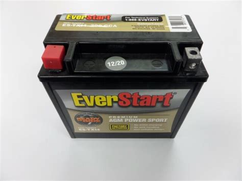 Everstart Premium Agm Power Sport Battery Group Size Es Tx14 For Sale