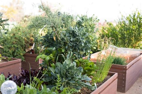 9 Creative Vegetable Garden Ideas