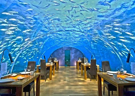 It lies southwest of sri lanka and india, about 700 kilometres. Ithaa - One and Only Underwater Restaurant in Maldives ...