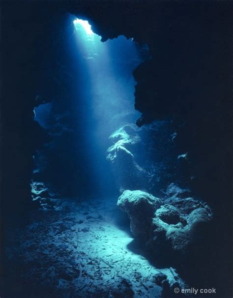 Dark Depths Underwater Caves Underwater Scenery