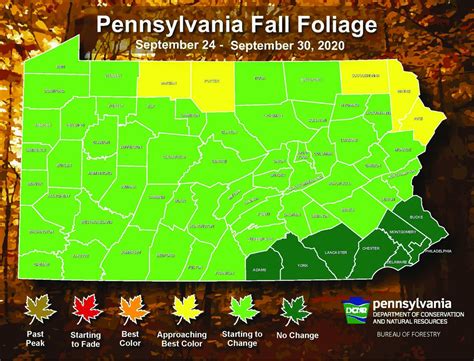 Best fall foliage season in years is possible, says Pennsylvania expert ...