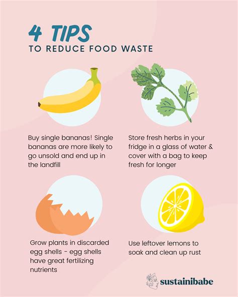 4 Eco Friendly Tips To Reduce Food Waste — Sustainibabe