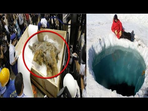 5 Mysterious Things Found Frozen In Ice
