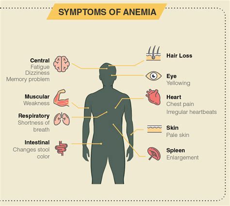 10 Signs And Symptoms Of Anemia You May Not Know Kulturaupice