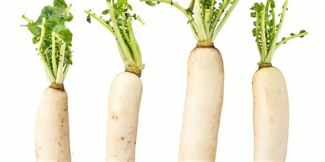 Daikon Radish All You Need To Know Instacart Guide To Fresh Produce