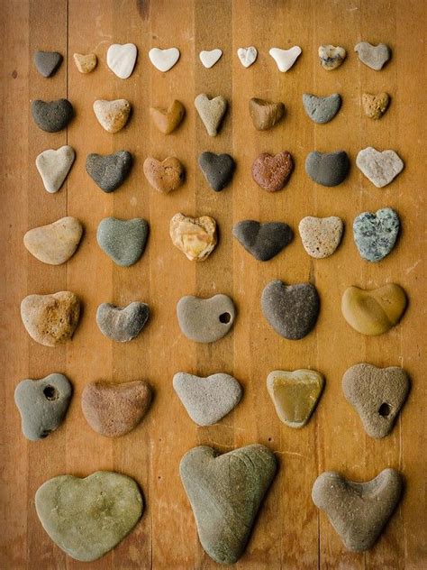 Heart Stones My Collection Of Heart Shaped Stones From The Flickr