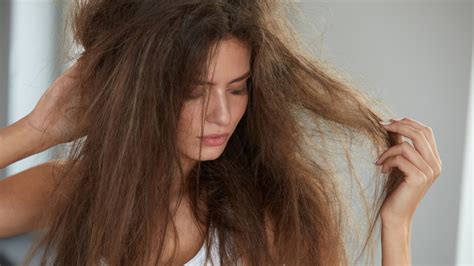 6 tips and secrets every woman with thick hair should know bellatory