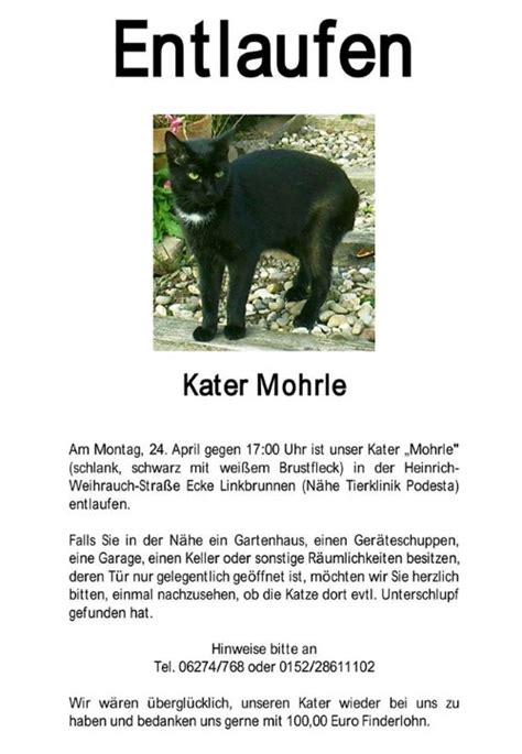 Check spelling or type a new query. Vermisst in Eberbach - Tierheim Dallau