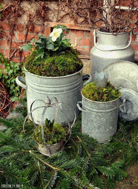Sind verblüht und es ist an der zeit auch den balkon herbstlich zu dekorieren.von meiner täglich hunderunde durch den wald bringe ich so manche fundstücke mit nach hause. Hof9, Blog über die Sanierung und Restauration eines alten ...