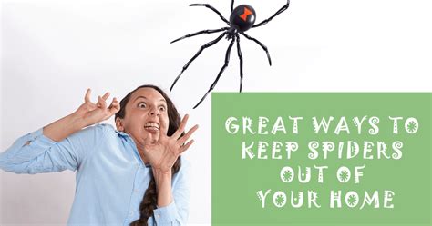 8 Natural Ways To Keep Spiders Away From Your Home