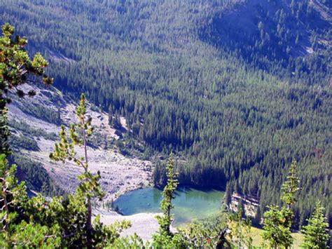 Enjoying the view with my four month old pup. Cascade Ramblings - Cascader: Strawberry Lake, Little ...