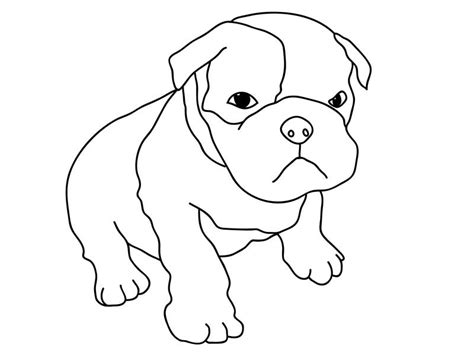 Each baby grow is individually hand pressed by us in the studio, the garments are produced for us learn how to draw a dog with this step by step drawing tutorial. Cute Pitbull Puppy Coloring Page: Cute Pitbull Puppy ...