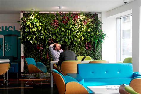 Learn About 9 Benefits Of An Indoor Living Green Wall Biotecture
