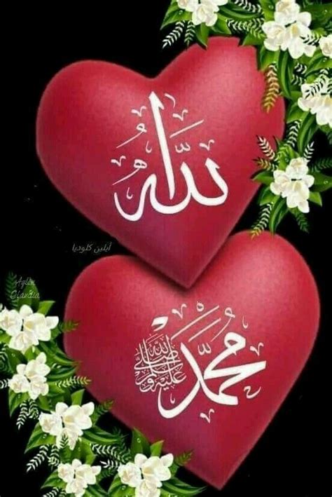 We did not find results for: Wallpaper Flower Allah Names - Love Wallpaper Rose ...