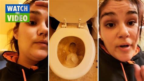 mum tries to ‘normalise not cleaning toilet for a month but is called ‘lazy au