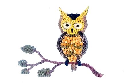 Download now kumpulan gambar kolase hewan dengan biji bijian. Mewarnai Burung Hantu Kolase