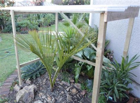 Betty was a resident of centennial, colorado at the time of passing. Palmenpflege im Garten - Winterschutz - Pflanzenfreunde