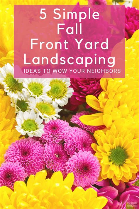 Colorful Flowers With The Words 5 Simple Fall Front Yard Landscaping