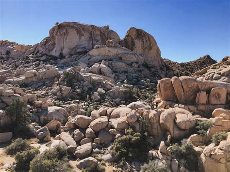 California Adventuring Into The Wonderland Of Rocks Joshua Tree Np