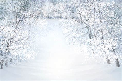 Buy Discount Kate Winter Snow Frozen Trees Backdrops Photography