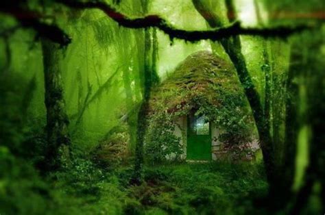 Mountaingirl Hobbit House The Hobbit Forest House