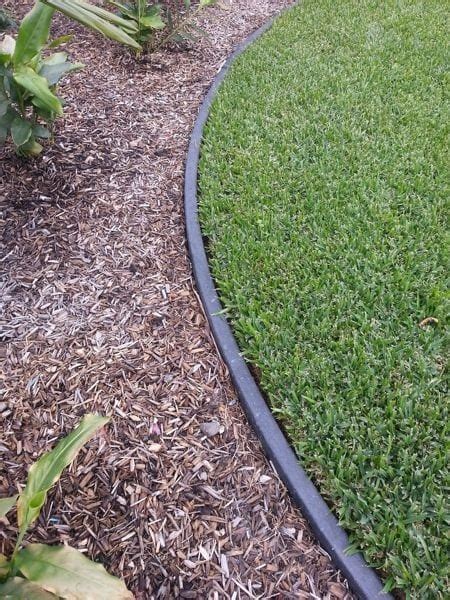 We did not find results for: Plastic Edging | Pleasant View Nurseries