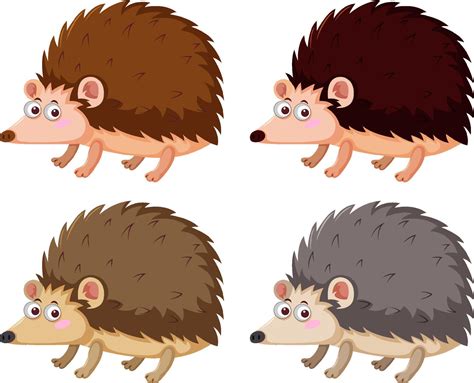 Different Hedgehogs In Cartoon Style 19861782 Vector Art At Vecteezy