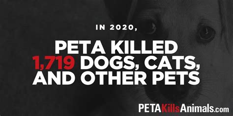 How Many Dogs Have Peta Killed