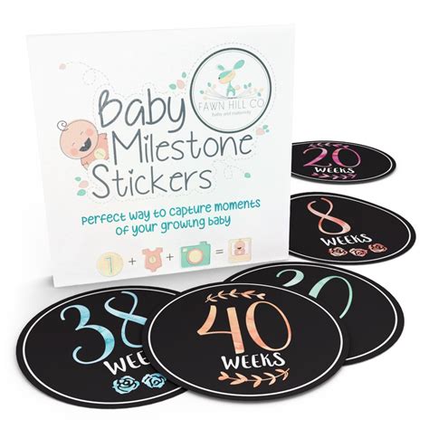 Pregnancy Stickers 16 Baby Belly Bump Weekly Milestone Sticker For