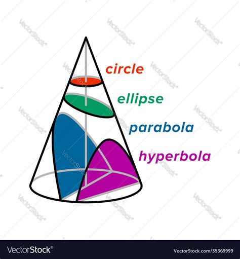 Circle Ellipse Parabola And Hyperbola Curved Vector Image
