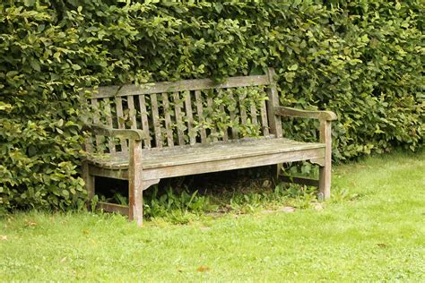 Wallpaper Summer Morning In The Park Bench Trees Grass